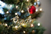 Christmas Day 2012