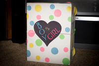 Boy or Girl - TJ and Tiff